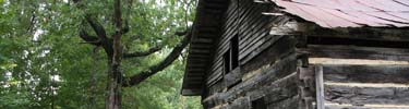 Doe Creek School